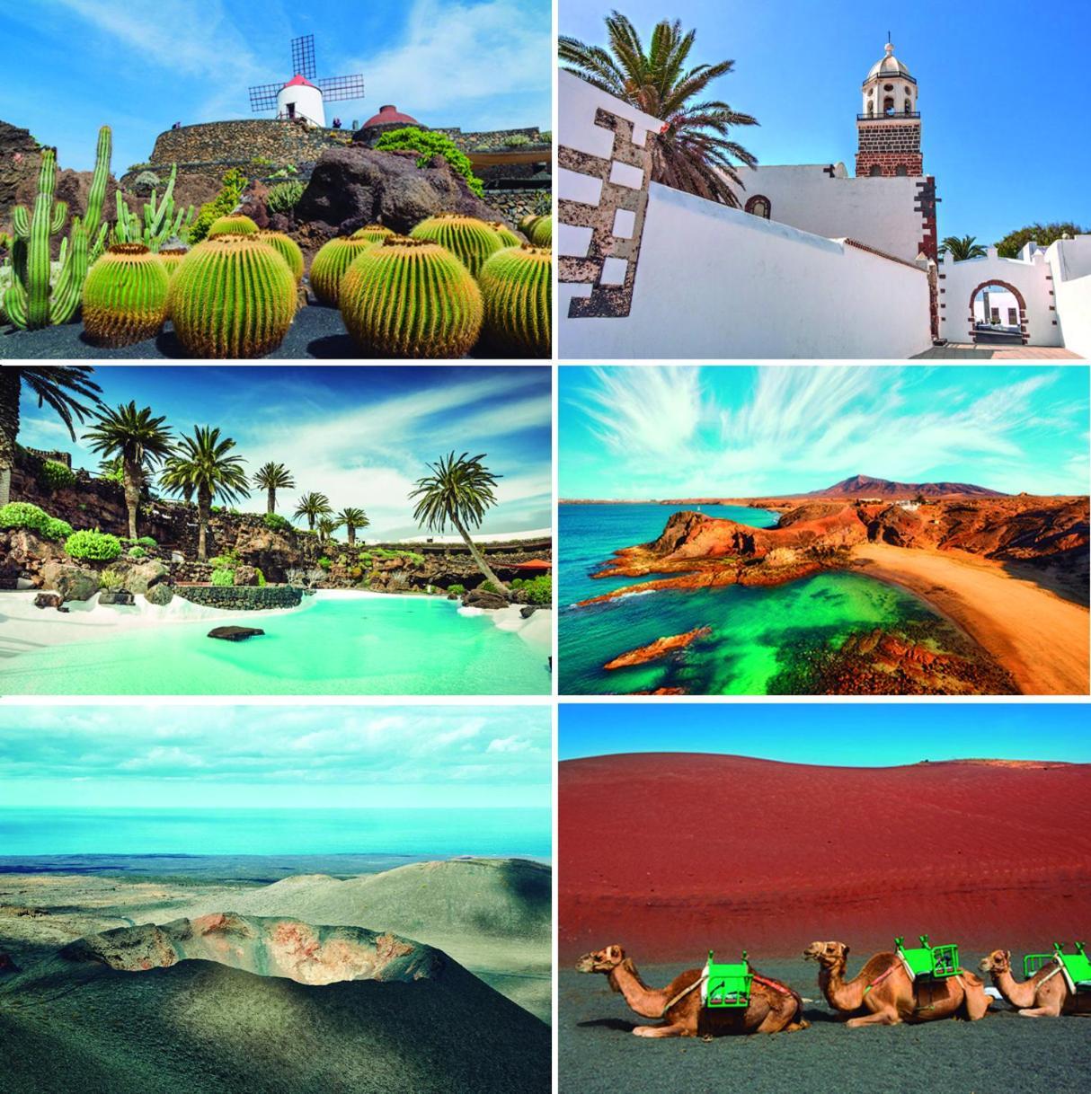 Appartement Volcan De Sal Teguise (Lanzarote)